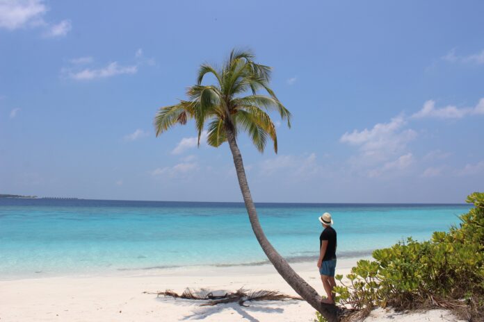 Tropical vibes at Maldives beach