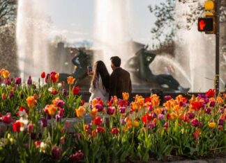 Best budget hotels, free attractions and wallet-friendly destinations?