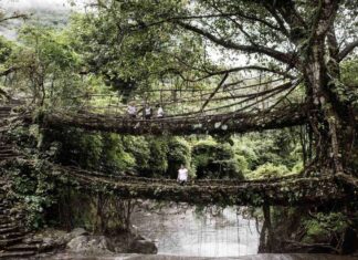 Unheard facts about Shillong with a few helpful travel tips!
