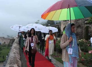 G20 Kashmir: Foreign delegates say, ‘Will spread word about great tourism potential back home’