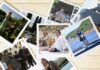T&C Travel Guide: The ‘Succession’ Grand Tour