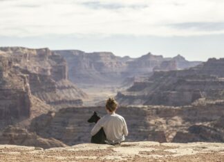 Flying, driving and AirBNBs: Tips to travel with your pet this summer