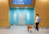 Airports with Pet Relief Areas in Europe
