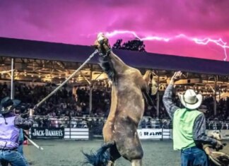 4th of July Ultimate Prescott Travel Guide