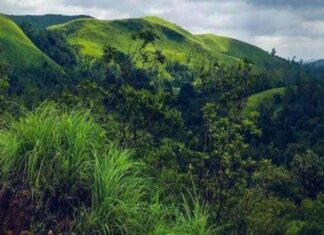 A Hidden Gem nestled in the wild embrace of Western Ghats – Kyathanamakki peak, chikkamagaluru