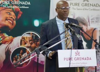 Grenada looking to the African continent to boost tourism