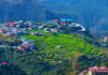 Indians Love Mountains, Beaches, And These Destinations
