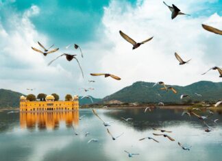 Picture-perfect places: Top destinations in India that offer stunning photographic opportunities