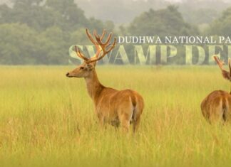 Undiscovered Places in Uttar Pradesh: Hidden Gems of India’s Heartland
