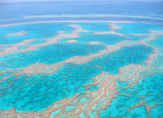 El Niño: What are the Great Barrier Reef’s tourism options amid further coral bleaching?