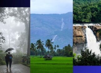 Backwaters To Ayurvedic Treatments: Enjoy The Monsoon Magic In Kerala