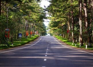 Mang Den travel guide: when to go, what to explore, how to get there
