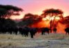 10 Most Beautiful Natural Places On The Planet Earth