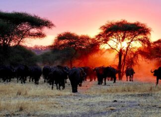 10 Most Beautiful Natural Places On The Planet Earth