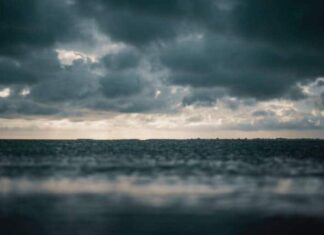Unique seasonal experiences in the sunshine state on a rainy day