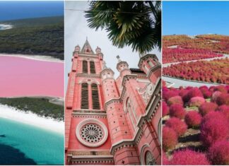 Step into Barbieland: 8 world’s prettiest pink destinations for all Barbie fans | Travel
