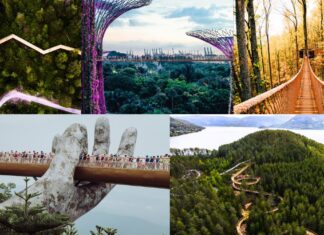 Norway got its first-ever extended Treetop Walkway, know about 15 More around the world