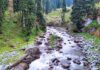 The Valley of Milk in Kashmir: Nature’s Magical Illusion Where Milk Flows