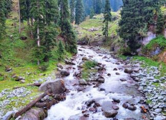 The Valley of Milk in Kashmir: Nature’s Magical Illusion Where Milk Flows