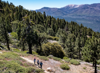Travel Guide | Partner Content