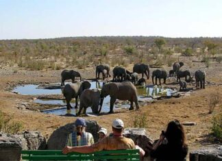 FMI Inc.: The global wildlife tourism market size is expected to reach US$ 220Bn by 2032