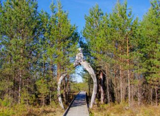 The essential guide to visiting Estonia