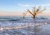 Guide to Visiting Edisto Island, South Carolina