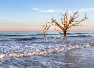 Guide to Visiting Edisto Island, South Carolina