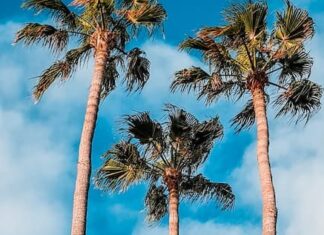 Your monthly guide to holidays and travel