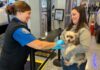 TSA reminds travelers to not put their pets through airport X-rays