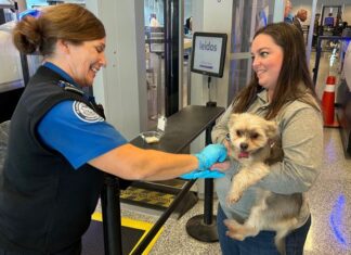 TSA reminds travelers to not put their pets through airport X-rays