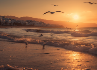 Plaka Beach Naxos: A Paradise for Beach Lovers Plaka Beach Naxos: A Paradise for Beach Lovers