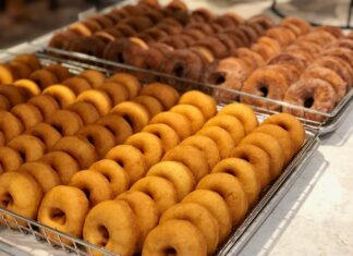 5 great Flint-area fall destinations for fresh doughnuts, apple cider and family fun