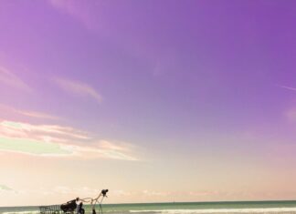 Ile de Ré: France’s Undiscovered Paradise Sunset on a beach on the beautiful island of Ile de Re