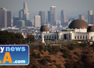 LA World Airports CEO Resigns to Accept Position in Saudi Arabia