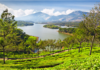 A Perfect Travel Guide to Munnar, Kerala