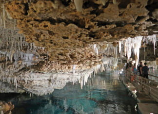 Descent into wonder at Bermuda’s Crystal Cave: Travel Weekly