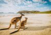 Australia Travel Guide | Money