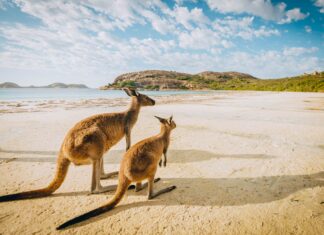 Australia Travel Guide | Money