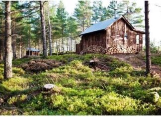 Enchanting Escapes: The Top Magical Cabins in Ireland for 2023 The Woodman’s Hut, Nethy Bridge