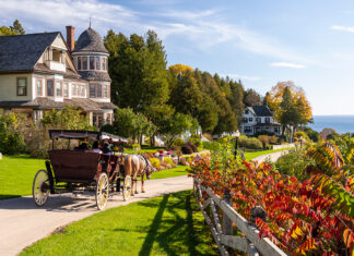 4 Destinations Where You Don’t Need a Car