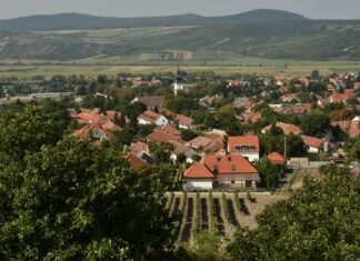 Tokaj Among One of the Most Attractive Destinations for International Visitors