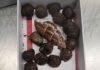 Box of giraffe poop seized at Minnesota airport