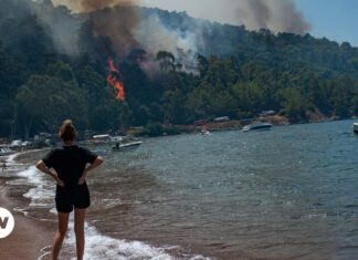 Making destructive tourism sustainable – DW – 10/02/2023