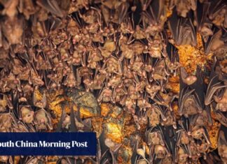 Halloween: 5 of Asia’s most scary and haunted destinations, for ghosts, spirits, monsters, possession and a giant snake