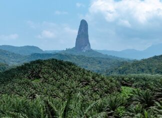Fancy REALLY getting away from it all? The world’s LEAST visited countries revealed, where there are no crowds, no queues… and no traffic lights