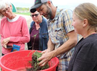 Real hands-on tourism at Green Pastures – The Carillon