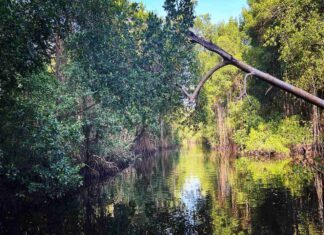 A travel guide to the Caribbean island of Trinidad, Trinidad & Tobago