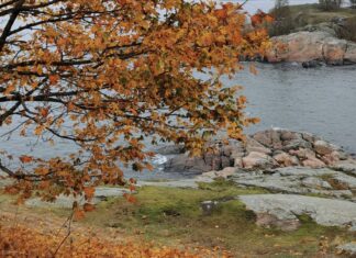 Top Cold Weather Destinations | Redbrick Travel