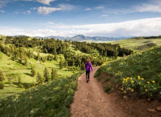 How to Visit Bozeman, Montana, the Gateway to the Oldest National Park in the World